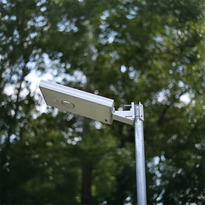 Street light on a pole with trees in the background